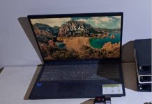 偽冒政要身分招搖撞騙 逮獲法辦