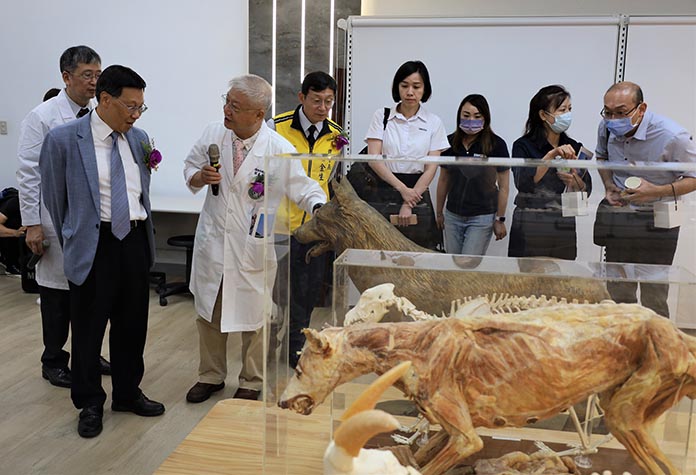 亞大附屬獸醫院開設中獸醫科，且有針灸模型狗等，提供動物健康醫療、維護及服務。圖／亞洲大學提供