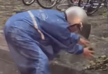 高雄淹大水!暖心騎士徒手撈樹葉 (圖/翻攝youtube)