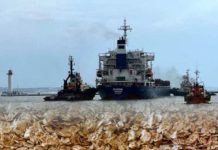 全球糧食危機稍緩解 首艘運糧船駛離烏克蘭敖德薩港