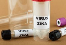 首例境外移入茲卡病毒 做好防蚊措施 (圖/疾病管制署)