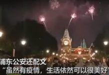偉大誰的國上海矇了? 迪士尼樂園煙火下緊急封園篩檢