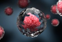 冠狀病毒不斷演變 將採用單價JN.1疫苗 (圖/示意圖)