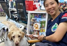 新北「木蘭」搜救犬病逝 領犬員淚崩 (圖/取自Tyfd-K9桃園搜救犬隊臉書)