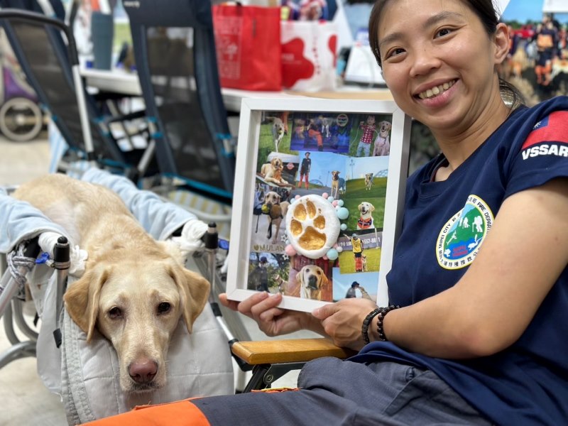 新北「木蘭」搜救犬病逝 領犬員淚崩