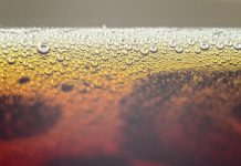 規避稽查酒駕河濱公園 仍遭警方查獲