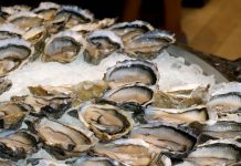馬祖牡蠣含鎘超標?衛生局回應了 (圖/示意圖)