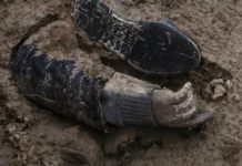 澤連斯基走訪布查慘況 戰爭暴行彰顯俄軍本性