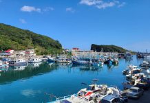 深澳、水湳洞玩遍!新北瑞芳漁港旅遊好去處 圖片取材自新北市官網