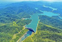 生態保育有成6/5世界環境日 翡翠水庫水質優吸引87種鳥類棲息