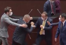 斯洛伐克參訪團模仿立院打架 立委紛斥國恥、丟臉 斯洛伐克參訪團模仿立院打架 立委紛斥國恥、丟臉