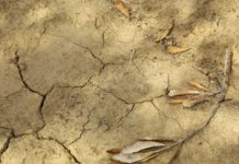 2022年世界土壤日 回到食物開始的地方