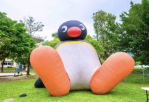 巨型企鵝Pingu來賣萌! 東石海之夏可愛登場