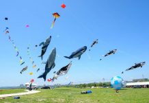 貢寮國際海洋音樂祭即將登場 周邊景點交通限定商品搶先看