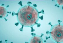 吉林全省急檢測清零難保? 多地緊急步上海後塵