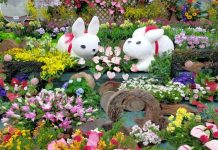 快來文心、陽明大樓打卡!臺中特色花卉展即日起展出 圖片取材自臺中市政府觀光旅遊局