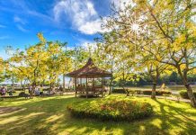 母親節虎頭埤喜迎 週六日著親子裝入園媽媽免費入園! 圖片取材自虎頭埤官網