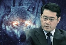 中國外長熱門人選秦剛 罕見公開自認是戰狼