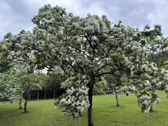 0a3a5943-887d-43ba-be6b-8340faa63161