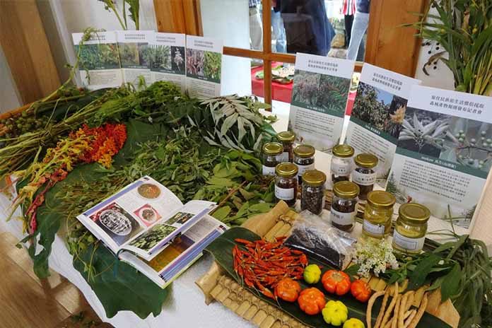 1024x768_20190704000092_1