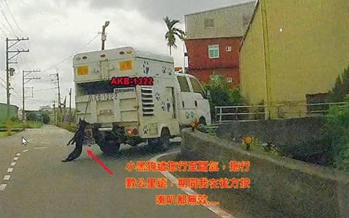 1101-02 (圖/取自我是中壢人臉書)