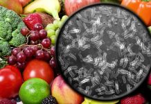 基隆深美國小疑似食物中毒案 化驗結果出爐 (圖/示意圖)