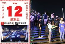 夏季限定!新莊中港大排星光導 5至10月期間熱鬧登場 圖片取材自