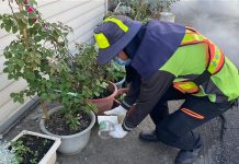 中市新增NS1登革熱陽性個案 籲民清除孳生源 (圖/取自台中市政府衛生局)