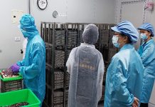 中市食安處抽驗保健食品 標示違規依法裁處6萬元 (圖/取自台中市食品藥物安全處)