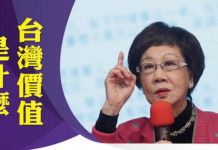 選後檢討/呂秀蓮千字文 4大缺失痛斥蔡英文流失民心