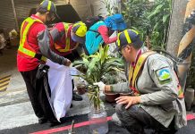 中市新增1例NS1登革熱陽性個案 籲民眾落實防蚊 (圖/取自台中市政府衛生局)