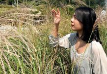 「芒芒」無際 ! 到北投山村走訪秋季劇照級芒草景點 (圖/取自臺北市政府工務局大地工程處)