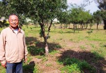 辦育幼院有如神助 林玄啟:你們不要的孩子,我要!