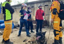 臺北市政府消防局攜手日本大島救助犬學校 強化搜救量能 (圖/取自臺北市搜救隊臉書)