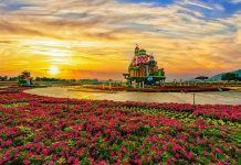 史上最繽紛! 台中花毯節倒數一週 花藝達人帶您賞花 (圖/台中市政府觀光旅遊局)