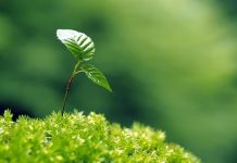 堅持 看見絆不倒的力量