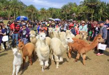 一窺六大主題公園47個觀賞區 綠世界生態農場