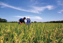 若水國際扮顧問推手 讓社會企業轉型成