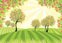 生活養生妙計大募集