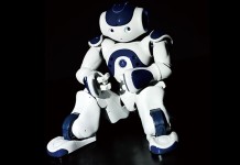 展現台灣產業實力 首屆機器人大展登場