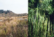 離奇!詭異!魔神仔之謎