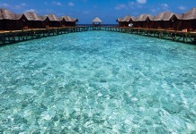 印度洋上的明珠 人間樂園馬爾地夫