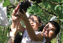 南投趴趴走 親子同遊樂無窮