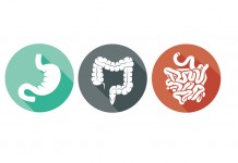 瘦得更美更健康 你需要好腸道!