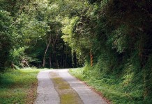 一條走過五百年 浸水營古道