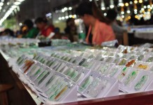 四會走過千年起落 珍貴寶石界新寵