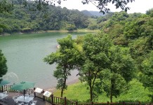 後山宜蘭農村小旅行