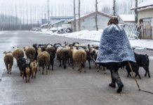 四川涼山自治州 彝族 一山分四季 十里不同天