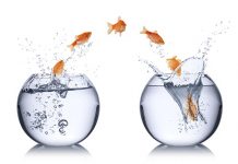 又大又穩過時了? 大象型公司變身敏捷求創新