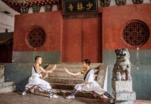 一寺一樹相依存 禹州 (下)